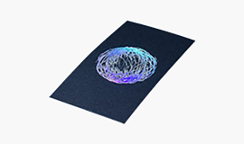 Hologram Cards