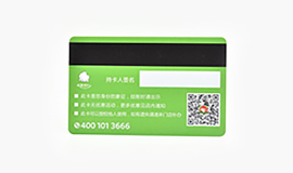 Magnetic Stripe Cards